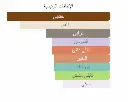 1.webp